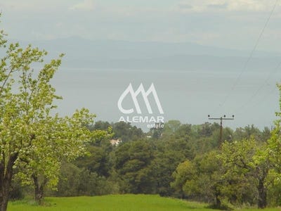 /international/gr/pefkochori-macedonia-thrace-310100577667/