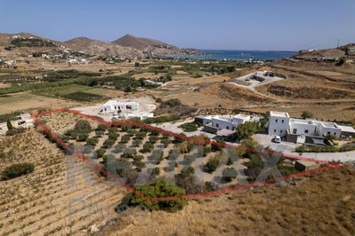 /international/gr/livadia-thessaly-central-greece-310102875448/