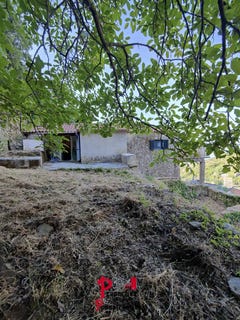 /international/gr/kastania-peloponnese-western-greece-and-ionian-310101487204/
