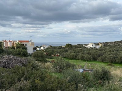 /international/gr/kounoupidiana-crete-310105210818/