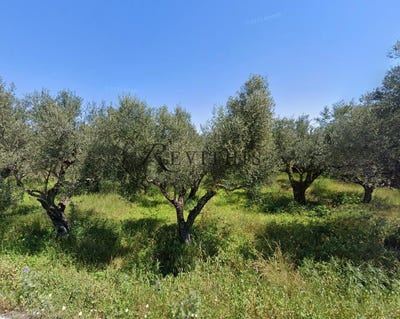 /international/gr/lithakia-peloponnese-western-greece-and-ionian-310100284169/