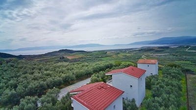 /international/gr/orfano-crete-310106779209/