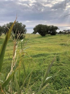 /international/gr/koutsouras-crete-120083014851/