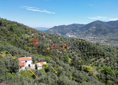 /international/gr/skopelos-thessaly-central-greece-310105234203/