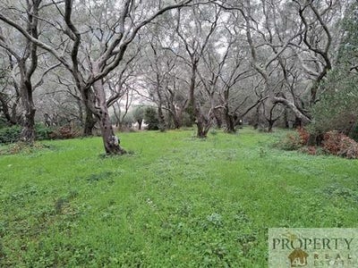 /international/gr/corfu-peloponnese-western-greece-and-ionian-310108162729/