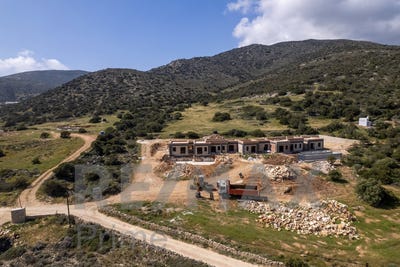 /international/gr/aspro-chorio-aegean-310103016640/?lang=de