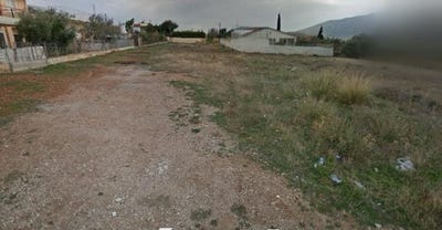 /international/gr/lagonisi-attica-310108676624/