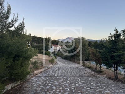 /international/gr/agios-stefanos-attica-310119719599/