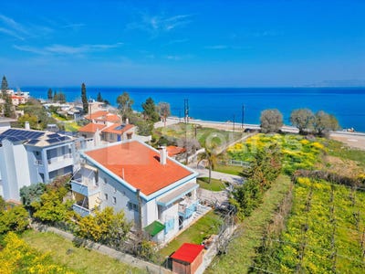 /international/gr/κοκκωνι-peloponnese-western-greece-and-ionian-310100042439/