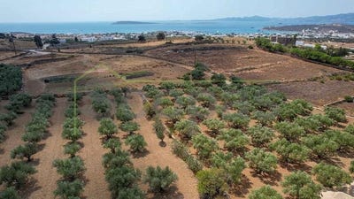 /international/gr/agkeria-aegean-310107026507/