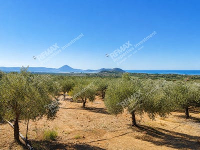 /international/gr/gargalianoi-peloponnese-western-greece-and-ionian-310106576280/