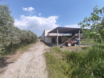 /international/gr/thermaikos-macedonia-thrace-310103791536/