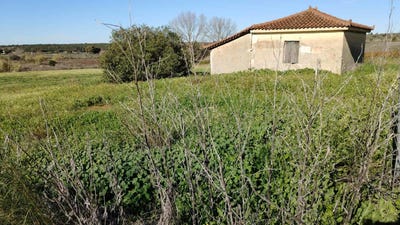 /international/gr/gargalianoi-peloponnese-western-greece-and-ionian-310106575985/