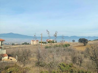 /international/gr/vasilika-macedonia-thrace-310105897240/