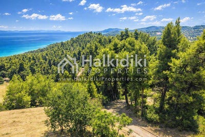 /international/gr/kassandra-macedonia-thrace-310108870840/