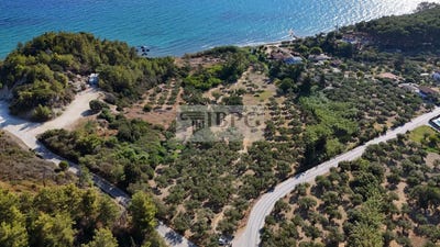 /international/gr/planos-peloponnese-western-greece-and-ionian-310100606771/?lang=fr