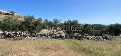 /international/gr/kalami-macedonia-thrace-310106990919/