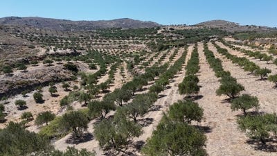 /international/gr/skopi-crete-310107500333/