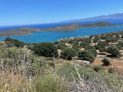 /international/gr/epano-pines-crete-310096928985/