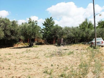 /international/gr/mallia-macedonia-thrace-310103788149/