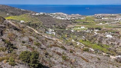 /international/gr/koukoumavles-aegean-310107582656/