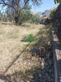 /international/gr/kyras-vrysi-peloponnese-western-greece-and-ionian-310108277550/