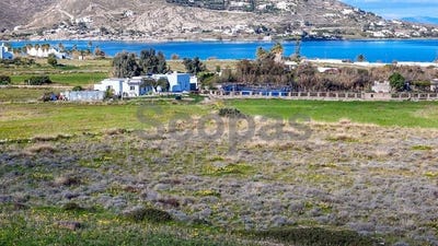 /international/gr/isterni-aegean-310107239095/