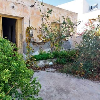 /international/gr/palaikastro-crete-310098697726/