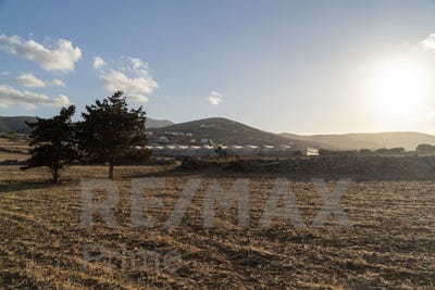 /international/gr/marathi-thessaly-central-greece-310105811834/