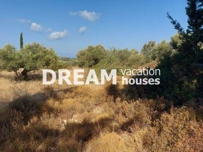 /international/gr/zakinthos-nisos-ionioi-nisoi-120094573393/