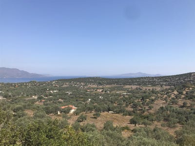 /international/gr/poros-trizinias-attica-310106018495/
