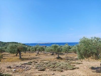 /international/gr/thasos-makedonia-thrace-310110249959/