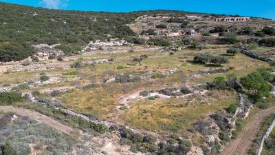 /international/gr/marathi-thessaly-central-greece-310107026487/