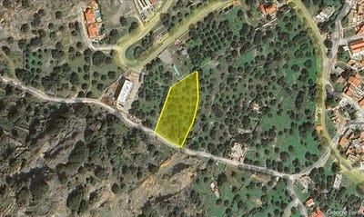 /international/gr/agios-nikolaos-macedonia-thrace-310101388047/