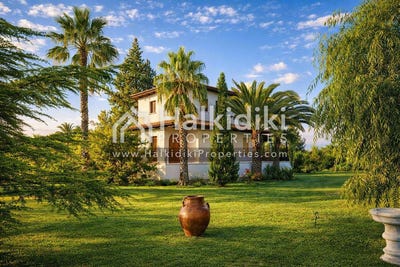 /international/gr/nea-triglia-macedonia-thrace-310108871194/