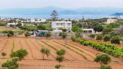 /international/gr/isterni-aegean-310107026659/