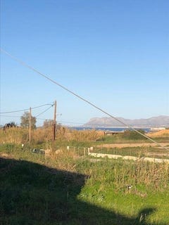 /international/gr/daratsos-crete-310109718847/