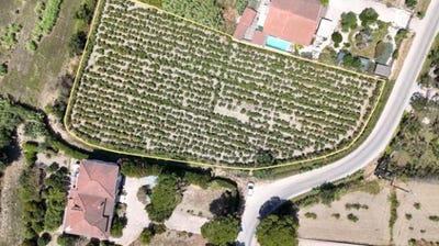 /international/gr/gaitani-zakynthos-peloponnese-western-greece-and-ionian-310104831891/