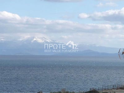 /international/gr/rafina-attica-310108317441/