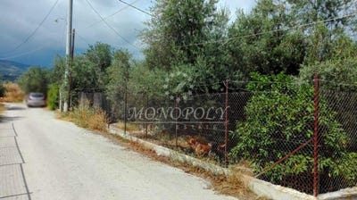 /international/gr/peloponnese-western-greece-and-ionian-120088945031/