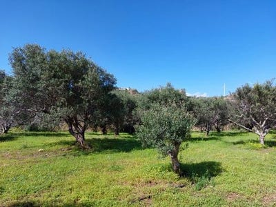 /international/gr/palekastro-crete-120095078058/