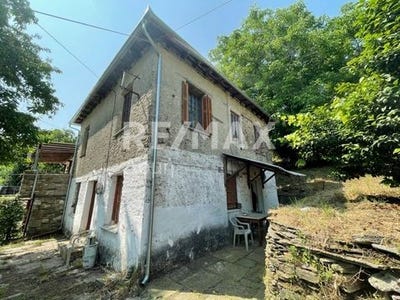 /international/gr/mouresi-thessaly-central-greece-310101389122/