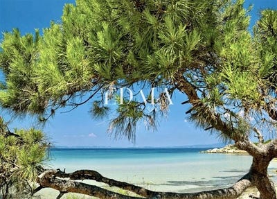 /international/gr/paliouri-macedonia-thrace-310105792303/