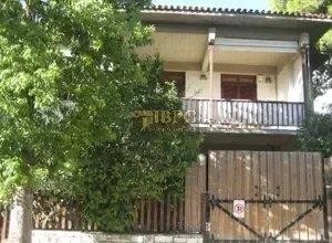 /international/gr/kifissia-attica-310100603899/