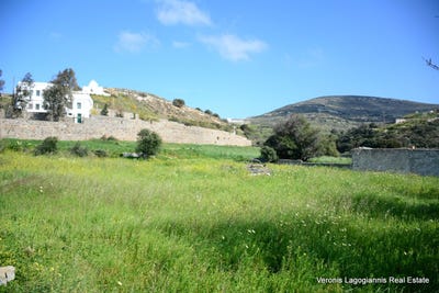 /international/gr/naxos-aegean-310106711455/
