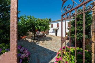 /international/gr/milies-thessaly-central-greece-310109354678/
