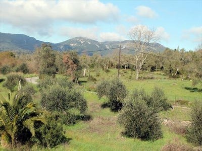 /international/gr/corfu-peloponnese-western-greece-and-ionian-310103791286/