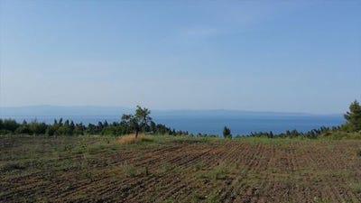 /international/gr/kassandra-macedonia-thrace-310103785399/
