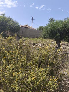 /international/gr/agios-nikolaos-crete-310099974646/