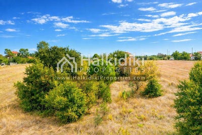 /international/gr/nea-triglia-macedonia-thrace-310108870466/